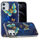 For iPhone 12 / 12 Pro Luminous TPU Soft Protective Case(Double Butterflies) - 1