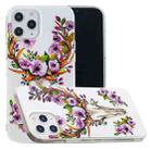 For iPhone 12 Pro Max Luminous TPU Soft Protective Case(Flower Deer) - 2