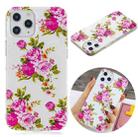 For iPhone 12 Pro Max Luminous TPU Soft Protective Case(Rose Flower) - 1