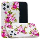 For iPhone 12 Pro Max Luminous TPU Soft Protective Case(Rose Flower) - 2