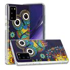 For Samsung Galaxy Note20 Luminous TPU Soft Protective Case(Blue Owl) - 1