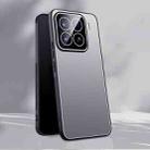 For Xiaomi 15 Ice Aluminum Metal Explosion-proof Frosted Phone Case(Silver) - 1