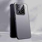 For Xiaomi 15 Pro Ice Aluminum Metal Explosion-proof Frosted Phone Case(Silver) - 1
