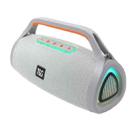 T&G TG417 40W Portable Outdoor Bass Dual Microphone Wireless Bluetooth Speaker(Grey) - 3