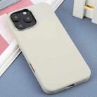 For iPhone 16 Pro Max DFANS DESIGN MagSafe Magnetic Silicone Phone Case(Antique White) - 2