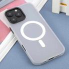 For iPhone 16 Pro Max DFANS DESIGN Skin Feel Frosted MagSafe Phone Case(White) - 2