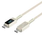 WIWU Wi-C038 TITAN Series 100W Type-C to Type-C Zinc Alloy Braided Fast Charging Data Cable, Length: 1.2m(Titanium) - 2