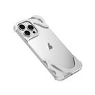 For iPhone 15 Pro Max Dolphin Metal Hybrid PC Transparent Back Panel Phone Case(Silver) - 1