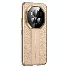 For Honor Magic6 Cloud Dragon Pattern Plain Leather PC Phone Case(Gold) - 1