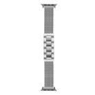For Apple Watch 46mm / 49mm / 45mm / 44mm 6-Chain Stainless Steel Watch Band(Silver) - 1