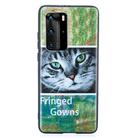 For Huawei P40 Pro Painted Pattern Soft TPU Case(Cat) - 2