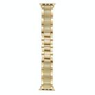For Apple Watch 42mm / 41mm / 40mm / 38mm Wave Thread 3-bead Stainless Steel Watch Band(Gold) - 2