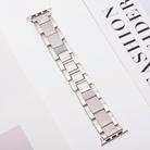 For Apple Watch 42mm / 41mm / 40mm / 38mm Wave Thread 3-bead Stainless Steel Watch Band(Silver) - 3