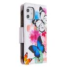 For iPhone 12 mini Colored Drawing Pattern Zipper Horizontal Flip Leather Case with Holder & Card Slots & Wallet(Two Butterflies) - 3