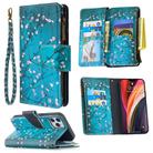 For iPhone 12 / 12 Pro Colored Drawing Pattern Zipper Horizontal Flip Leather Case with Holder & Card Slots & Wallet(Plum Blossom) - 1