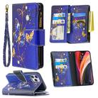 For iPhone 12 / 12 Pro Colored Drawing Pattern Zipper Horizontal Flip Leather Case with Holder & Card Slots & Wallet(Purple Butterfly) - 1