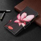 For iPhone 12 Pro Max Colored Drawing Pattern Zipper Horizontal Flip Leather Case with Holder & Card Slots & Wallet(Lotus) - 5
