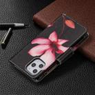 For iPhone 12 Pro Max Colored Drawing Pattern Zipper Horizontal Flip Leather Case with Holder & Card Slots & Wallet(Lotus) - 6
