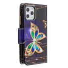 For iPhone 12 Pro Max Colored Drawing Pattern Zipper Horizontal Flip Leather Case with Holder & Card Slots & Wallet(Big Butterfly) - 2