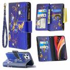 For iPhone 12 Pro Max Colored Drawing Pattern Zipper Horizontal Flip Leather Case with Holder & Card Slots & Wallet(Purple Butterfly) - 1