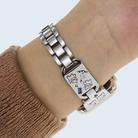 For Apple Watch 42mm / 41mm / 40mm / 38mm Colored Diamond Cat Stainless Steel Watch Band(Silver) - 3