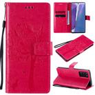 For Samsung Galaxy Note20 Tree & Cat Pattern Pressed Printing Horizontal Flip PU Leather Case with Holder & Card Slots & Wallet & Lanyard(Rose Red) - 1