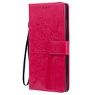 For Samsung Galaxy Note20 Tree & Cat Pattern Pressed Printing Horizontal Flip PU Leather Case with Holder & Card Slots & Wallet & Lanyard(Rose Red) - 2