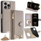 For iPhone 12 Pro Max Crossbody Chain Fishtail Litchi Leather Phone Case(Grey) - 1