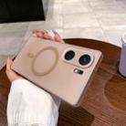 For vivo iQOO Neo9 Fine Hole Ice Fog MagSafe PC Phone Case(Gold) - 1