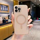 For iPhone 13 Pro Max Fine Hole Ice Fog MagSafe PC Phone Case(Gold) - 1