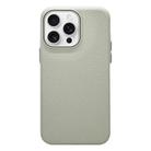 For iPhone 13 Pro Max Litchi Texture TPU Phone Case(Rock White) - 1