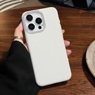 For iPhone 13 Pro Max Litchi Texture TPU Phone Case(Rock White) - 2