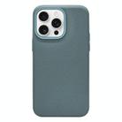 For iPhone 13 Pro Litchi Texture TPU Phone Case(Wave Blue) - 1