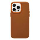 For iPhone 12 Pro Max Litchi Texture TPU Phone Case(Gold Brown) - 1