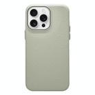 For iPhone 12 Pro Max Litchi Texture TPU Phone Case(Rock White) - 1