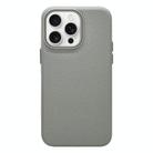 For iPhone 12 Pro Max Litchi Texture TPU Phone Case(Grey) - 1
