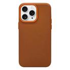 For iPhone 11 Pro Max Litchi Texture TPU Phone Case(Gold Brown) - 1