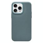 For iPhone 11 Pro Max Litchi Texture TPU Phone Case(Wave Blue) - 1