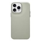 For iPhone 11 Pro Max Litchi Texture TPU Phone Case(Rock White) - 1