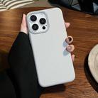 For iPhone 11 Pro Max Litchi Texture TPU Phone Case(Grey) - 2