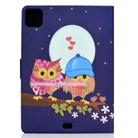 For iPad Air 2022 / 2020 10.9 Electric Pressed Colored Drawing Horizontal Flip Leather Case with Holder & Card Slots & Sleep / Wake-up Function(Couple Owls) - 3