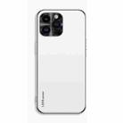 For iPhone 14 Pro Max AG Frosted Electroplating Acrylic Phone Case(Silver White) - 1