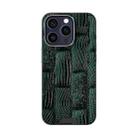 For iPhone 13 Pro ABEEL Beast Pattern 6D Micro-Embossed MagSafe Genuine Leather Phone Case(Green) - 2