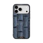 For iPhone 17 Pro Max ABEEL Beast Pattern 6D Micro-Embossed MagSafe Genuine Leather Phone Case(Blue) - 2