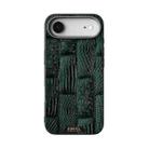 For iPhone 17 Air ABEEL Beast Pattern 6D Micro-Embossed MagSafe Genuine Leather Phone Case(Green) - 2