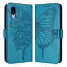 For Sharp Basio Active3 Embossed Butterfly Leather Phone Case(Blue) - 2