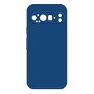 For Google Pixel 9 Pro Imitation Liquid Silicone Phone Case(Blue) - 1