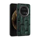 For Huawei Mate 70 Pro / 70 Pro+ ABEEL Beast Pattern 6D Micro-Embossed MagSafe Genuine Leather Phone Case(Green) - 1