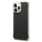 For iPhone 14 Pro Max Denior A20 Genuine Leather Litchi Texture MagSafe Frameless Phone Case(Black) - 1