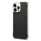 For iPhone 15 Pro Max Denior A20 Genuine Leather Litchi Texture MagSafe Frameless Phone Case(Black) - 1